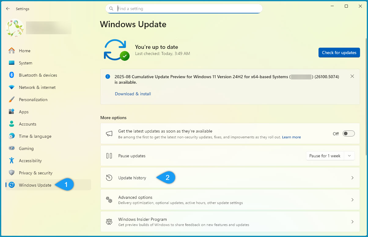Uninstall Windows 11 update
