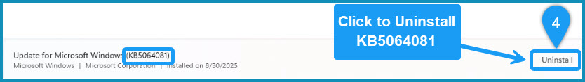 Uninstall Windows 11 update
