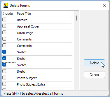 Delete Forms Window